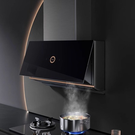 工业厨房油烟处理罩（型号YYZ-110）